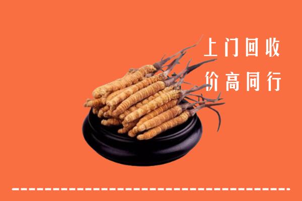 高价求购：烟台市海阳回收散虫草