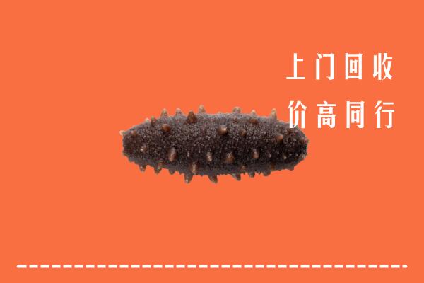 烟台市海阳回收海参