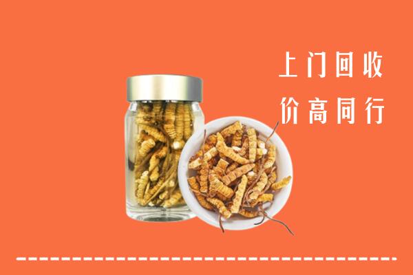 烟台市海阳回收冬虫夏草